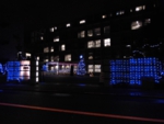 CIMG0297.JPG