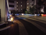 CIMG0246.JPG