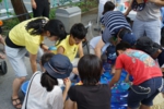 DSC05636.JPG