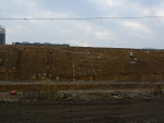DSC_0824.JPG
