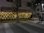 5F2E8E76-BD41-411A-BEEA-93C3400363BF.jpeg