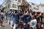DSC01346.JPG