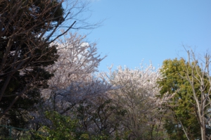 DSC01673.JPG